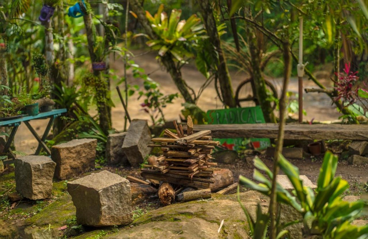 Eco Organic Life Trindade (Rio de Janeiro)