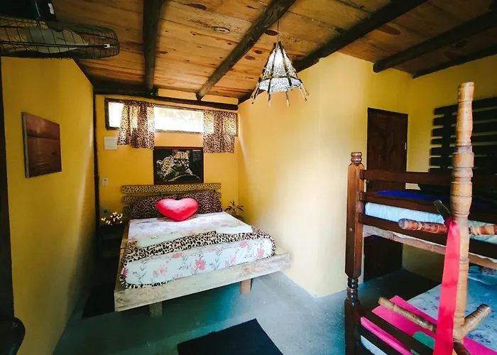 Eco Hostel Organic Life