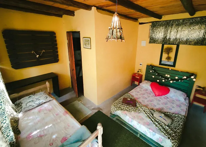 Eco Hostel Organic Life