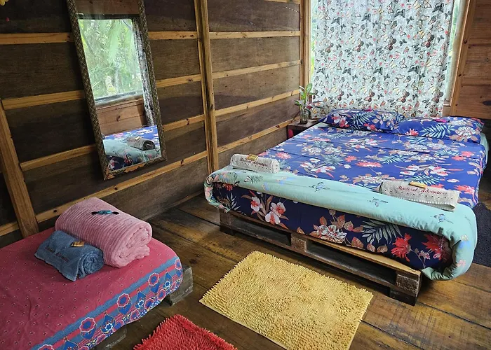 Eco Hostel Organic Life
