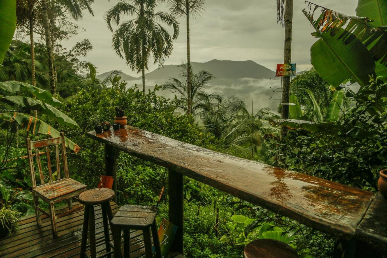 Eco Organic Life * Trindade (Rio de Janeiro)