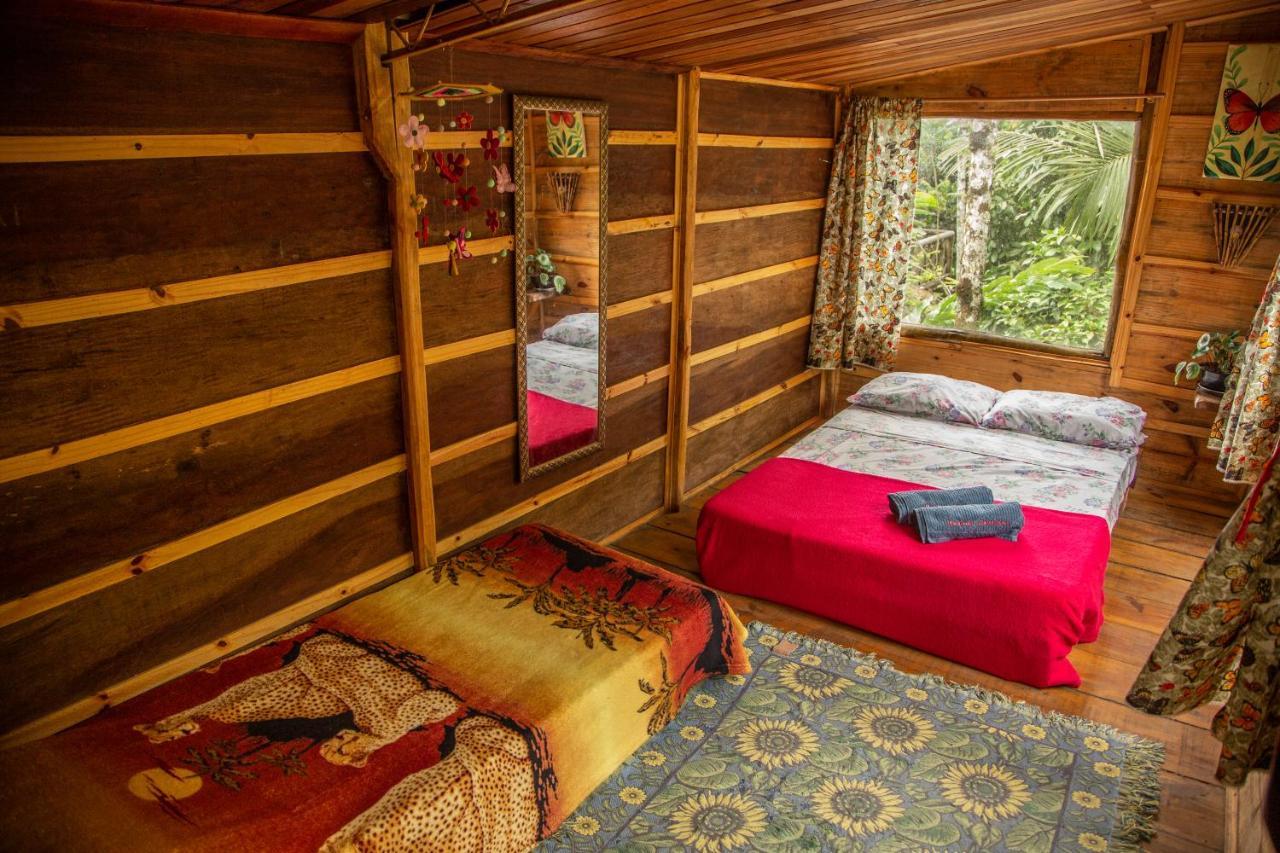 Eco Organic Life Hostel *