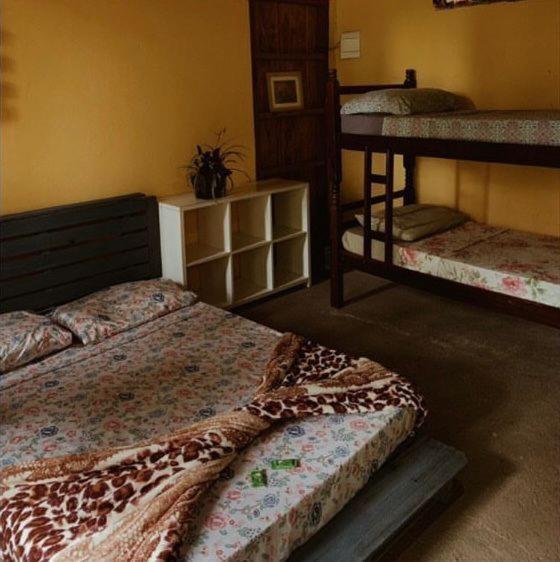 Hostel Eco Organic Life *