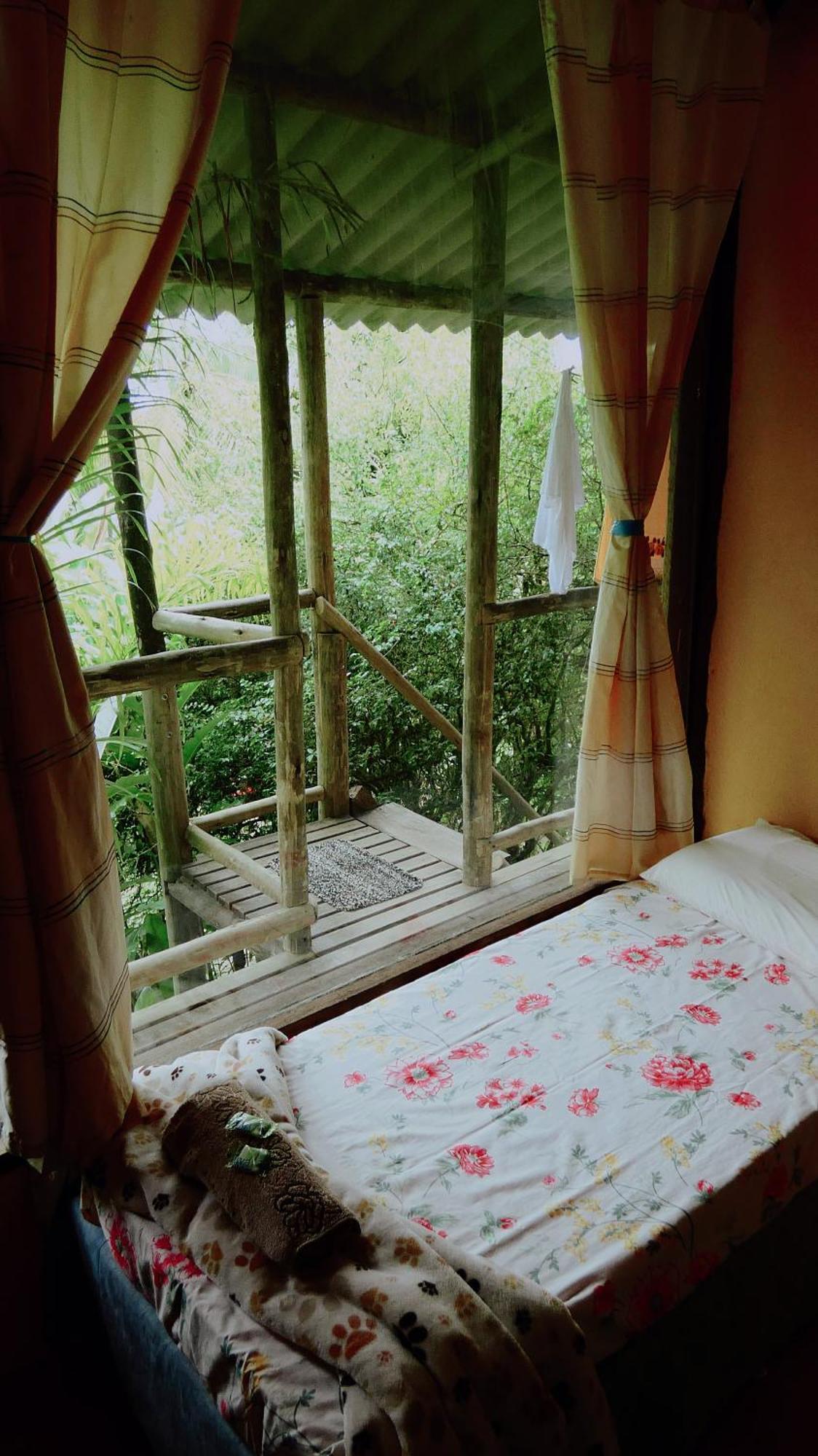 Hostel Eco Organic Life *