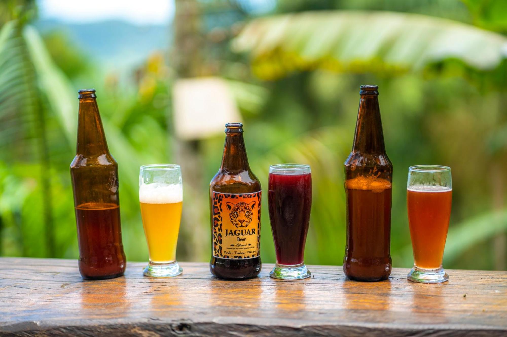 Eco Organic Life Hostel Trindade (Rio de Janeiro)