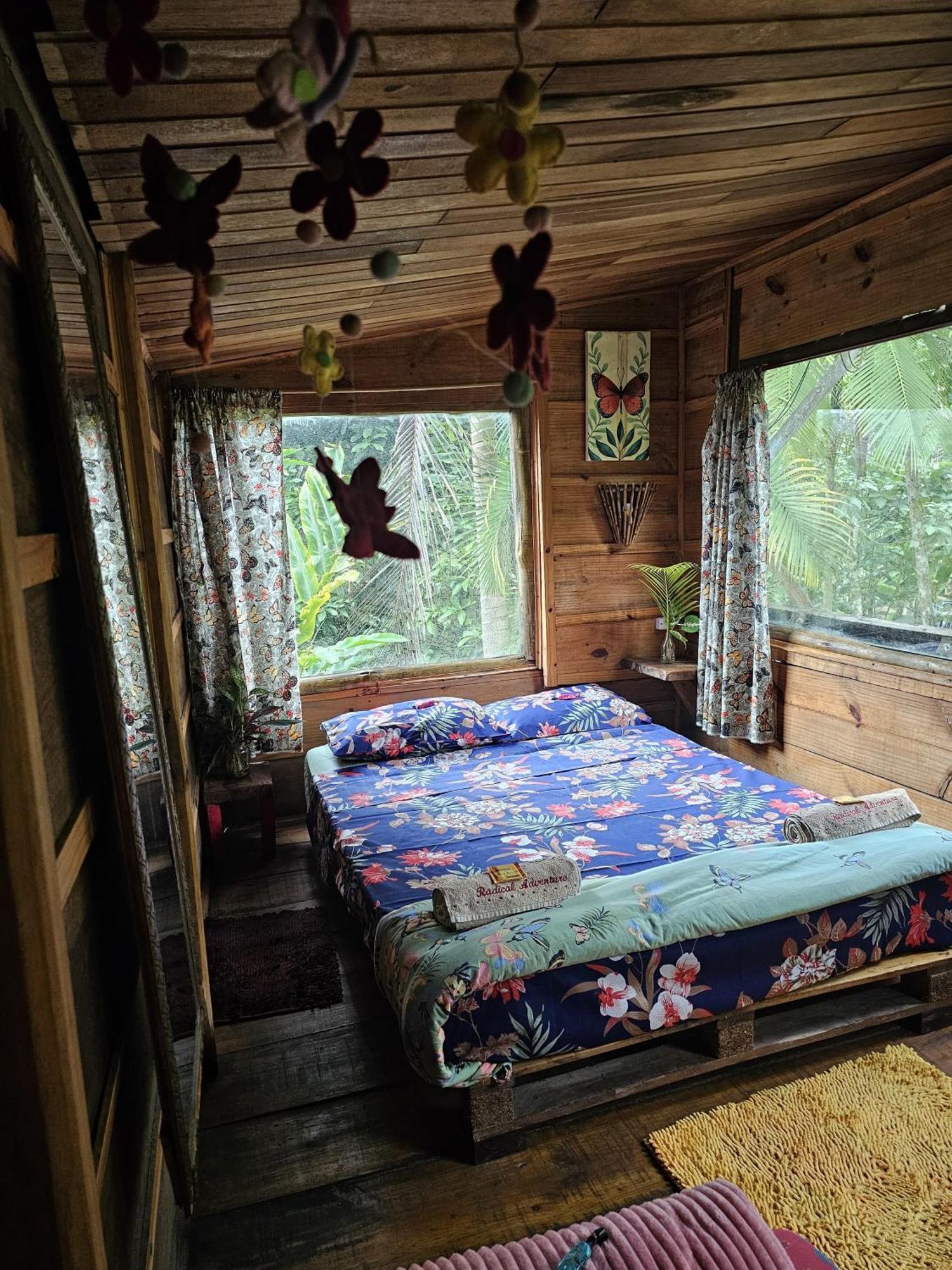 Eco Organic Life Hostel