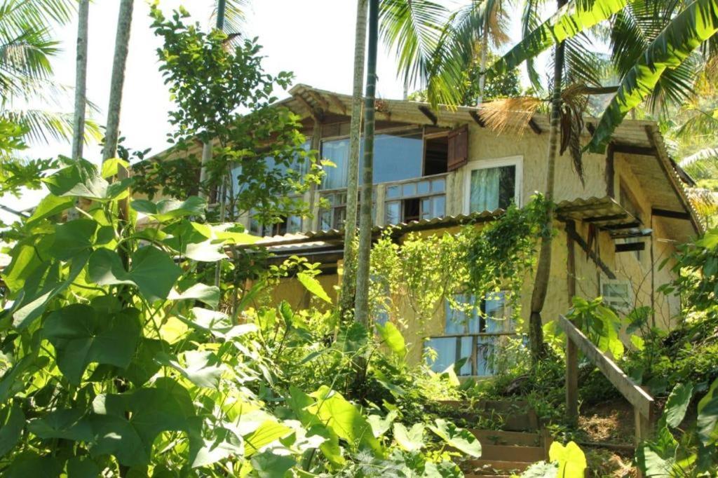 Eco Organic Life *