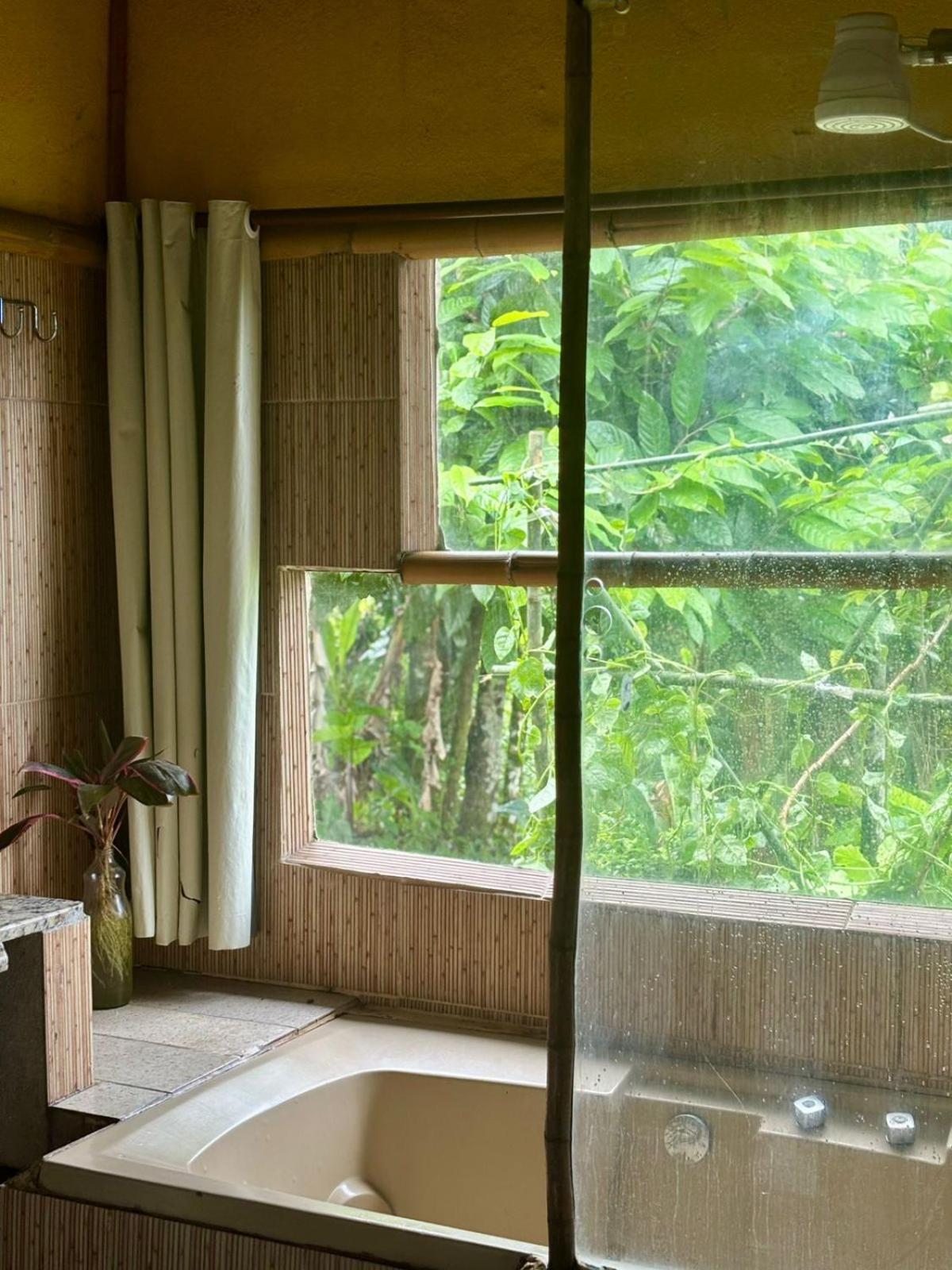 Hostel Eco Organic Life