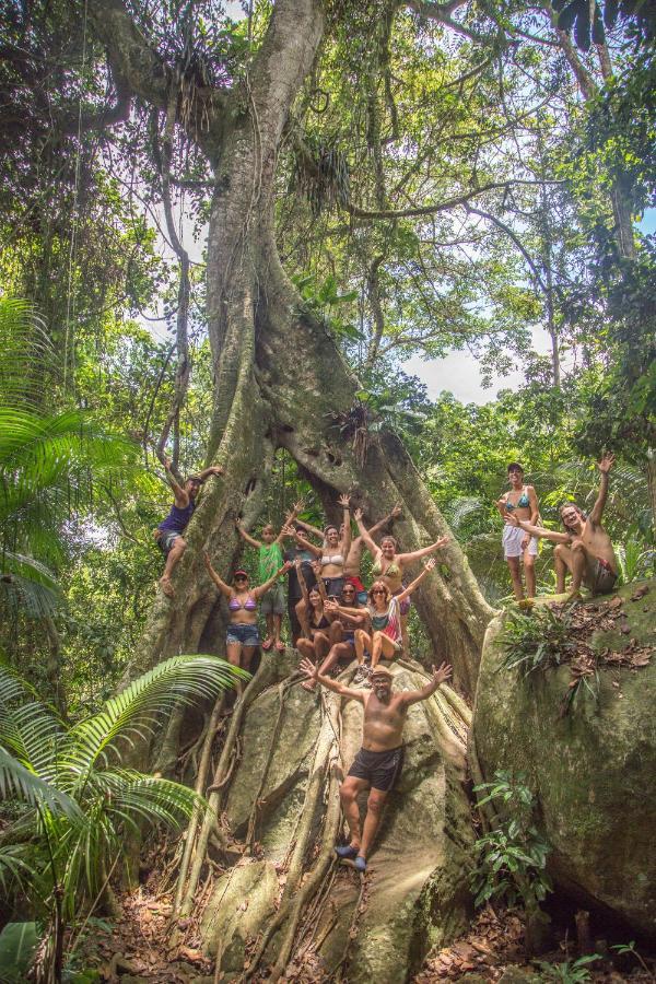 Eco Organic Life Hostel *